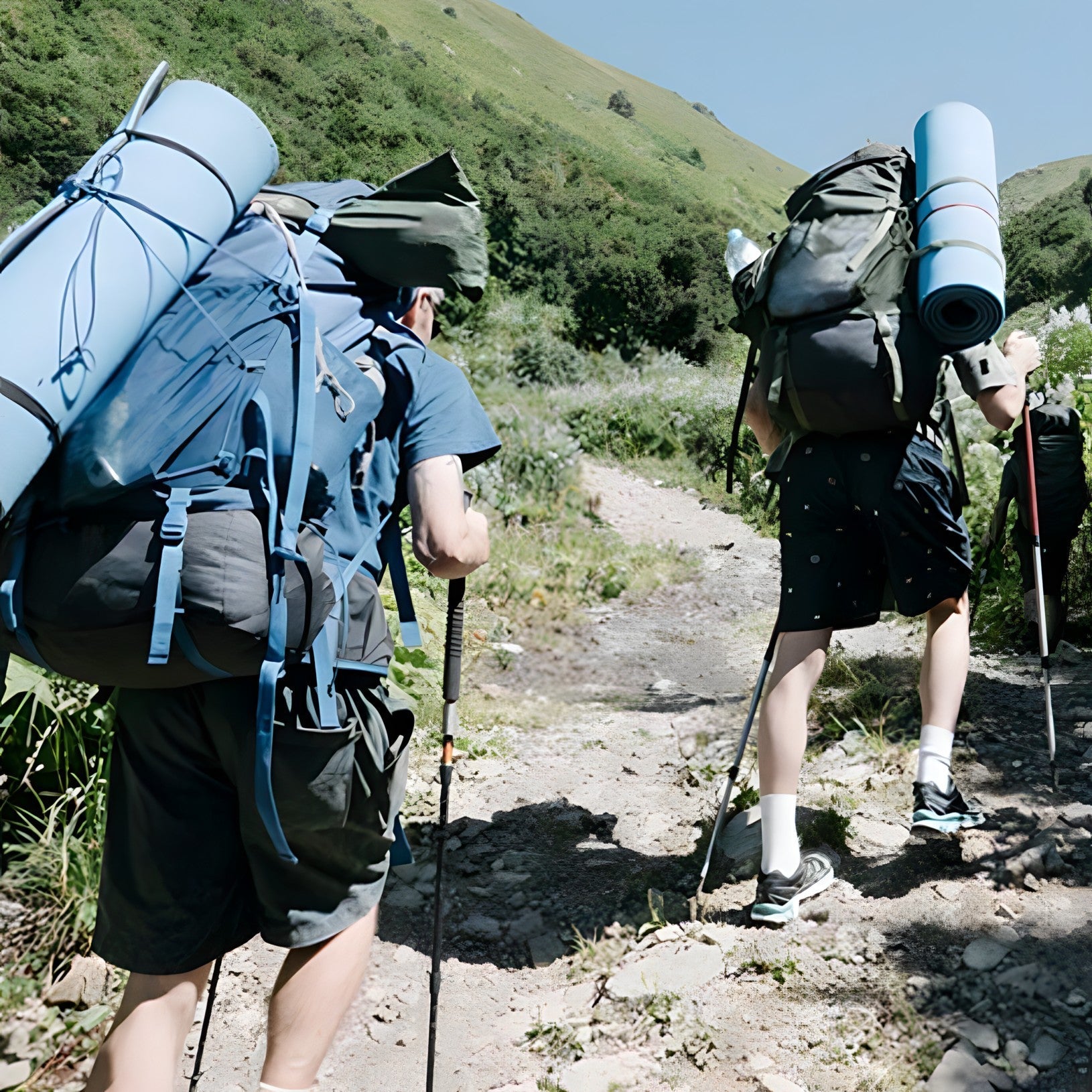 Crimson Wildtrack Gear | Trekking Poles - Folding - Lightweight Design